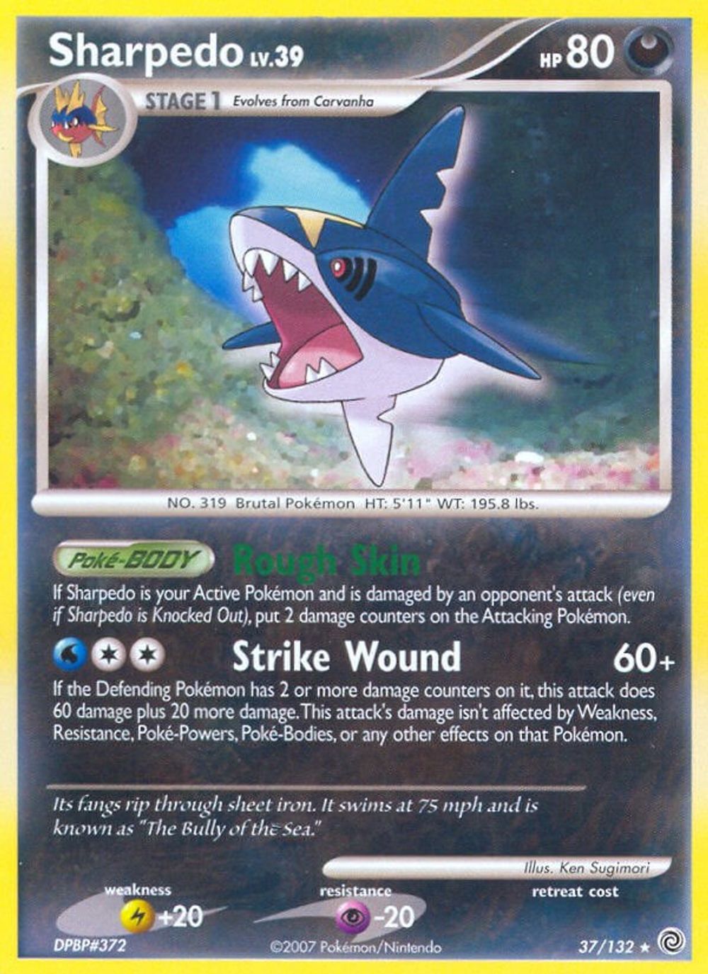 Sharpedo — Secret Wonders