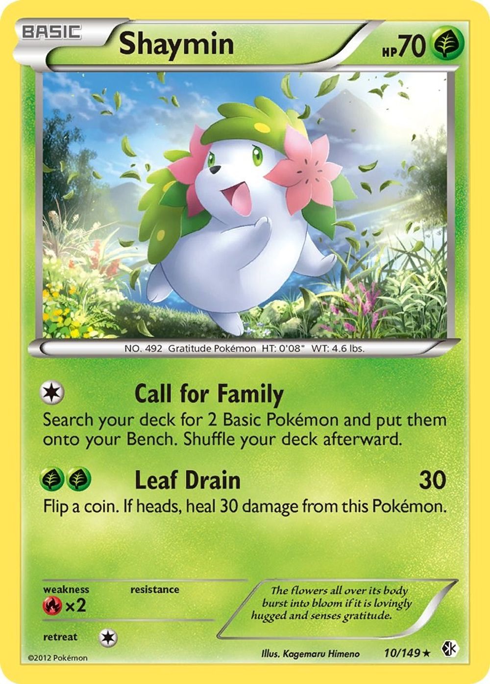 Shaymin — Boundaries Crossed