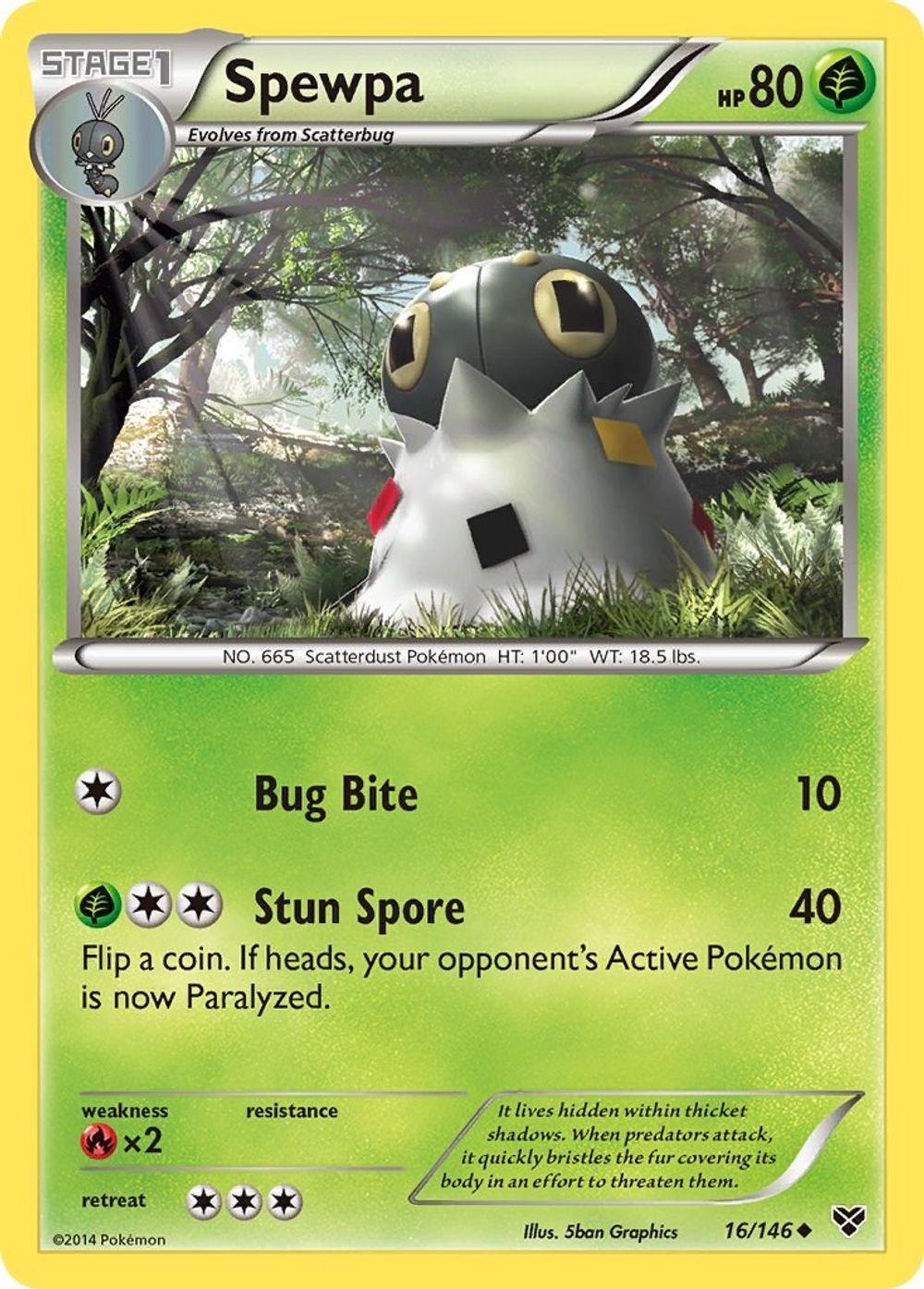 Spewpa — XY Base Set