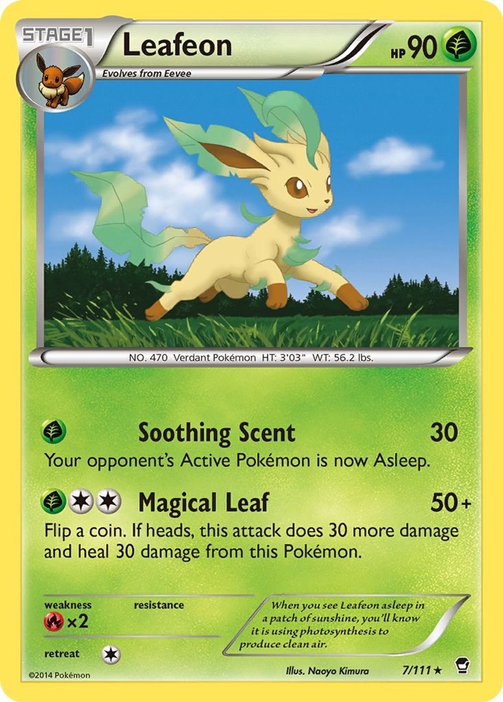 Leafeon — XY - Furious Fists