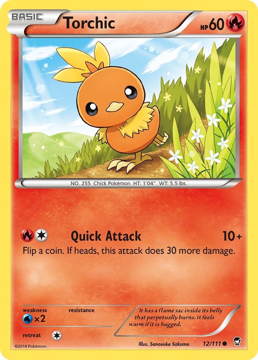 Torchic — XY - Furious Fists