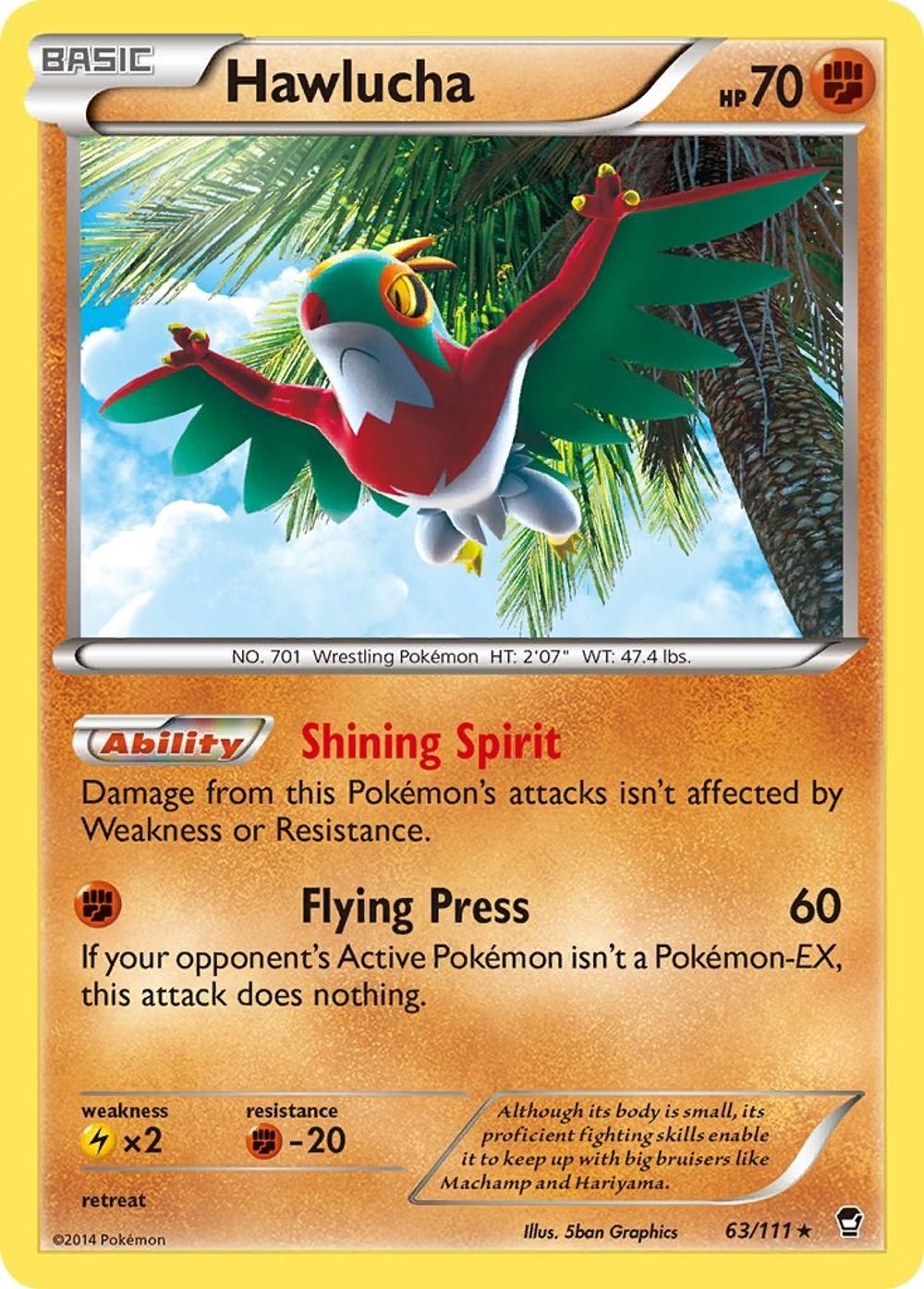 Hawlucha — XY - Furious Fists