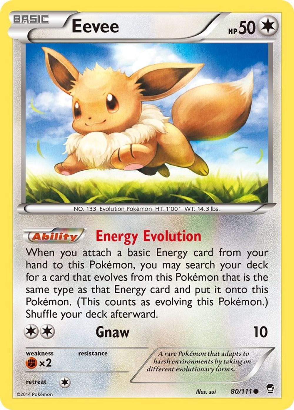 Eevee — XY - Furious Fists