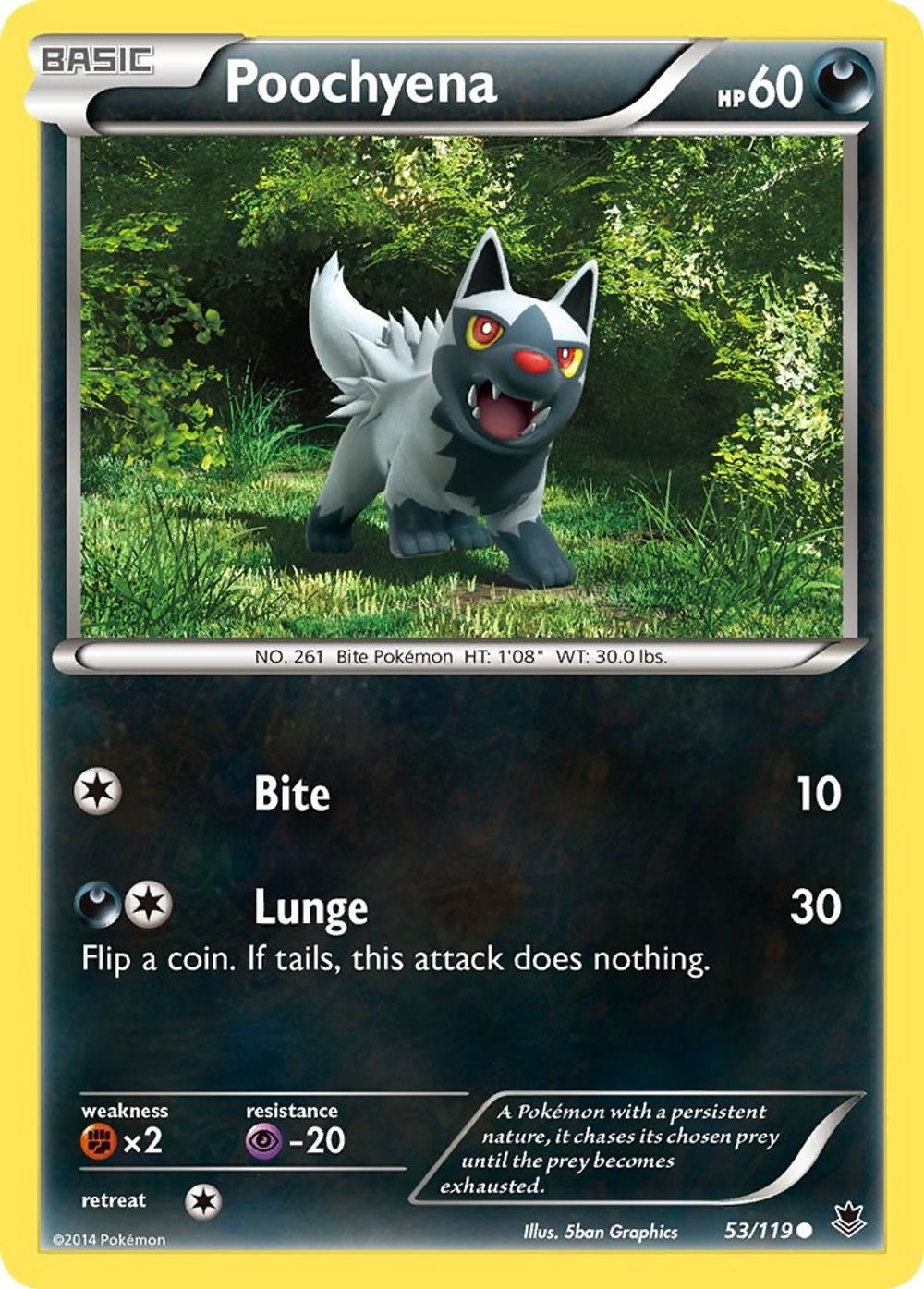 Poochyena — XY - Phantom Forces