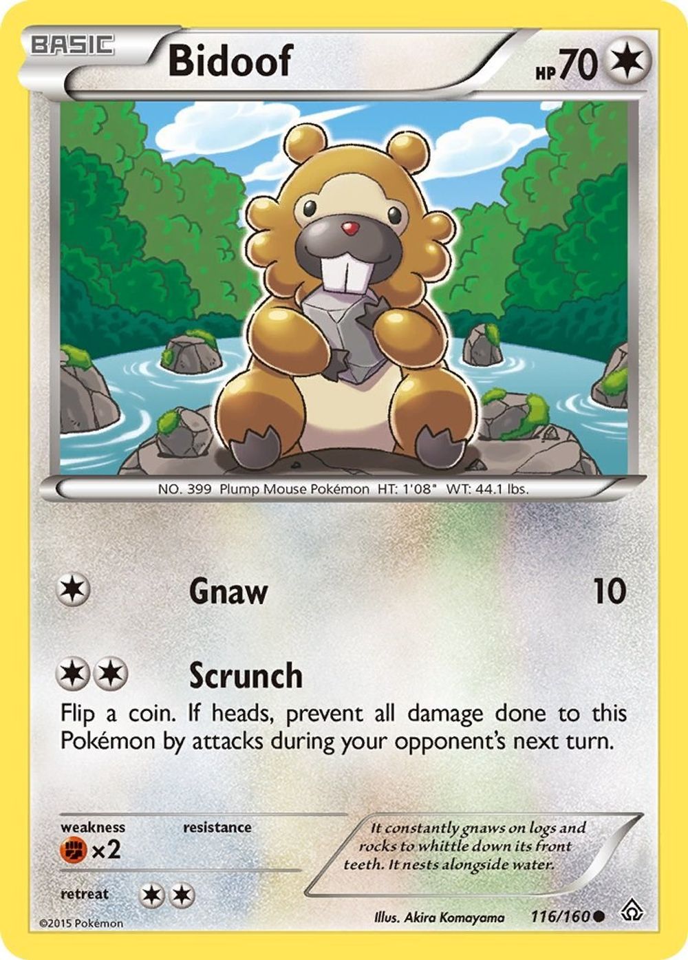 Bidoof — XY - Primal Clash