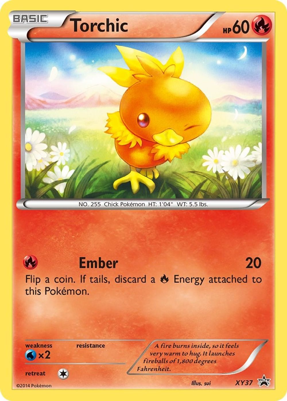 Torchic - XY37 — XY Promos