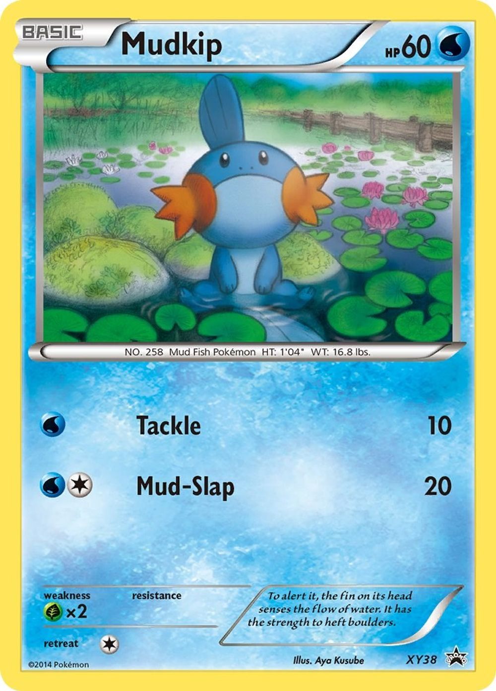 Mudkip - XY38 — XY Promos