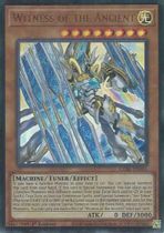 Witness of the Ancient CORI-EN081