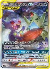 Mega Sableye & Tyranitar GX Full Art PSA grading