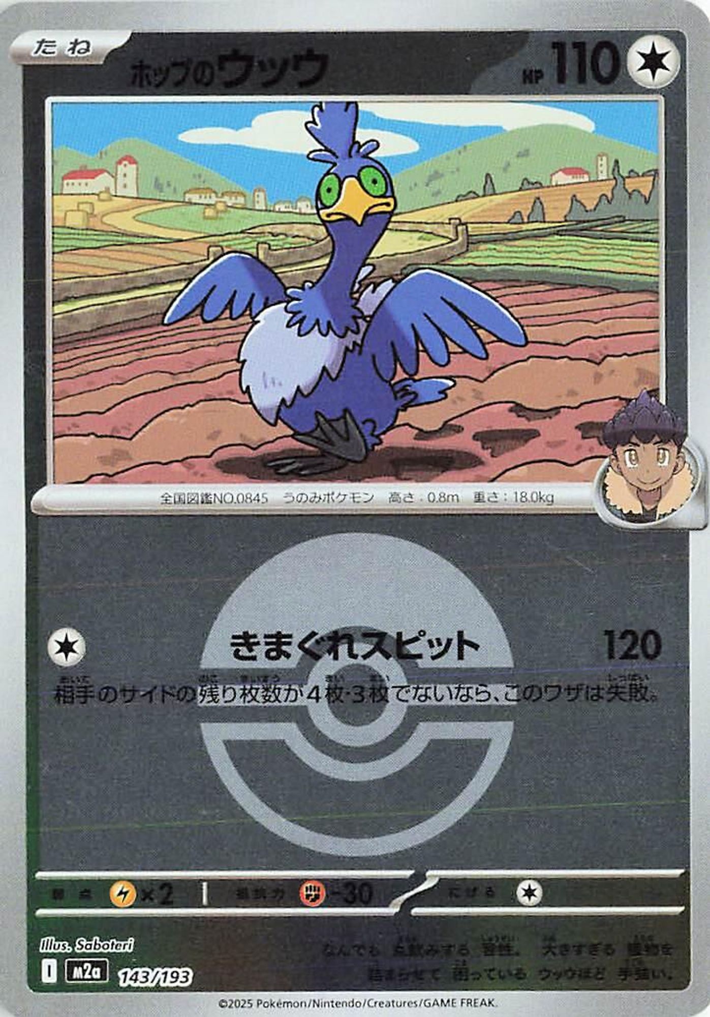 Hop's Cramorant (Poke Ball Pattern) card