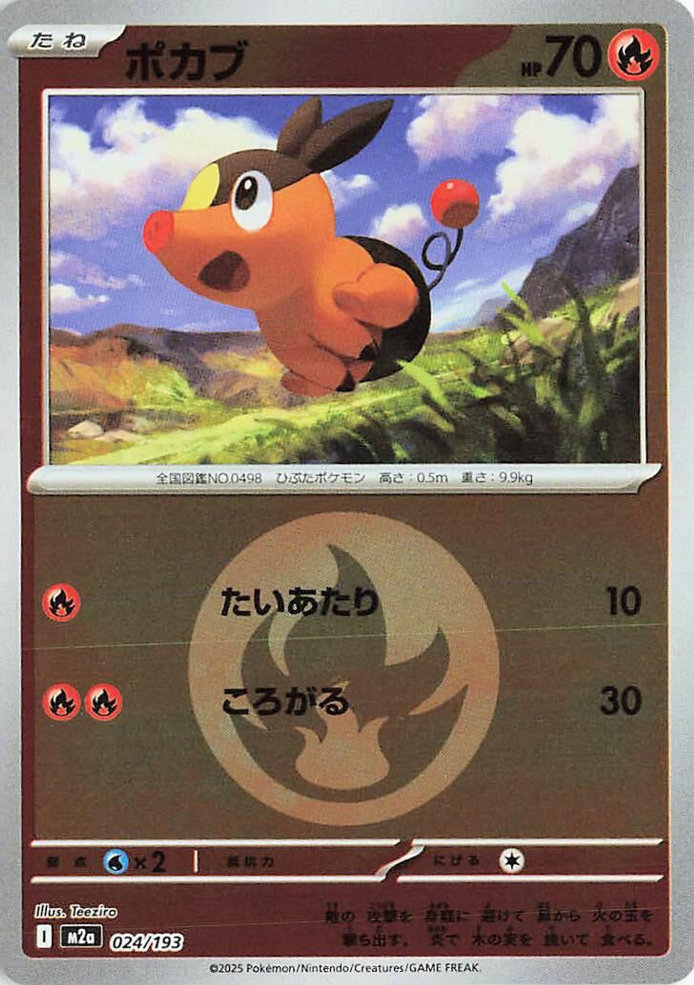 Tepig (Energy Symbol Pattern) card