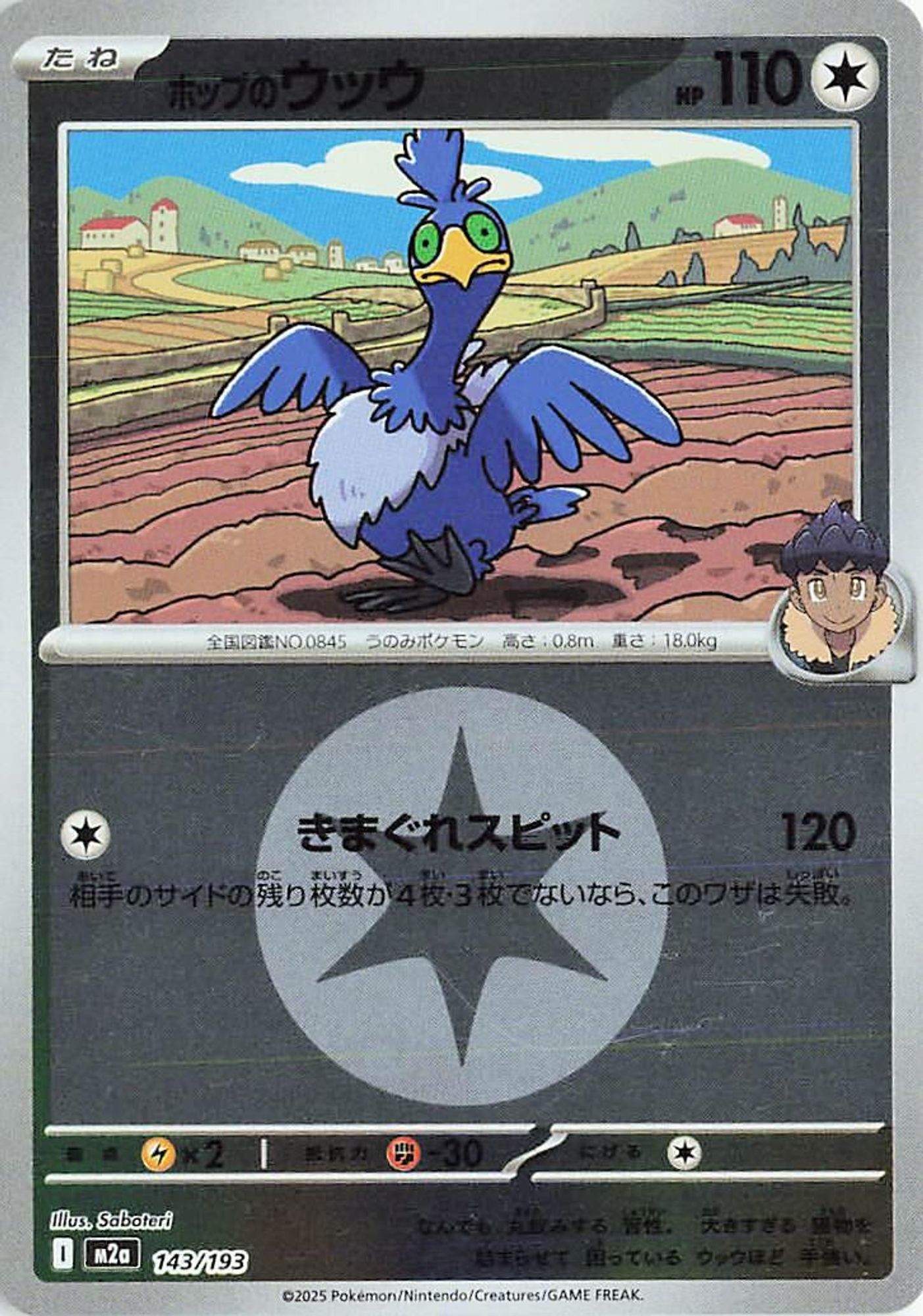 Hop's Cramorant (Energy Symbol Pattern) card