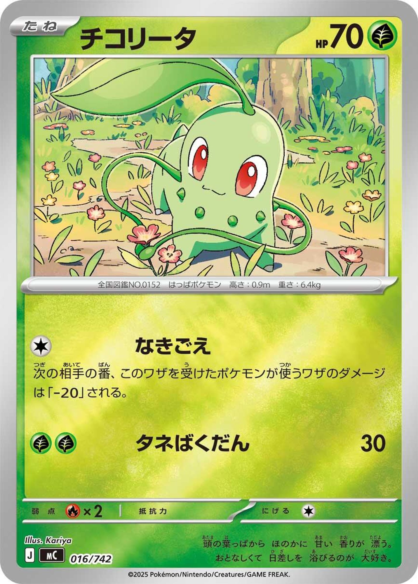 Chikorita (Mirror Holo) card