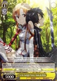 Kirito & Eugeo SAO/S71-078 R Sword Art Online WS - Weiss Schwarz Japanese