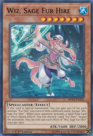 Seal Strategist Fur Hire MP19-EN248 Common Yu-Gi-Oh Card 1st Edition New 