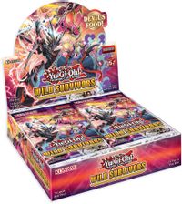 Darkwing Blast Booster Box - Darkwing Blast - YuGiOh