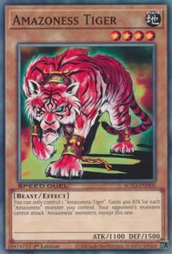 Amazoness Archers - Magician's Force - YuGiOh