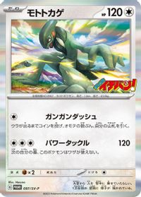 Cyclizar - 097/SV-P