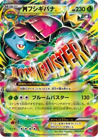 M Venusaur EX