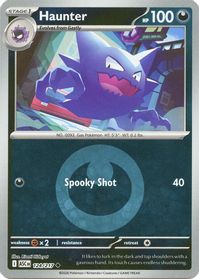 Haunter (Energy Symbol Pattern)