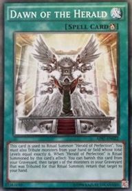 Herald of Perfection (UTR) - The Shining Darkness - YuGiOh