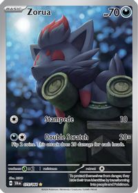 Zorua Illustration Rare PSA grading analytics