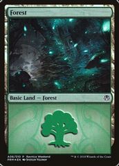 Forest - Golgari (A06)