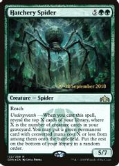 Hatchery Spider