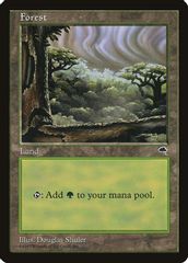 Forest (Cloudy)