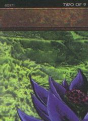Black Lotus (2 of 9) (Ultra Pro Puzzle Quest)