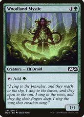 Woodland Mystic