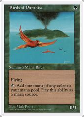 Birds of Paradise