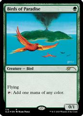 Birds of Paradise (176)