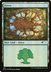 Forest (574)