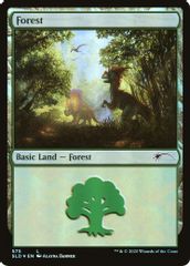 Forest (575)