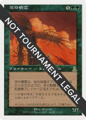 Thorn Elemental (JP Magazine Insert)