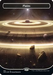 Plains (491) (Borderless) (Galaxy Foil)