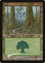 Forest (2000)