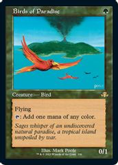 Birds of Paradise (Retro Frame)