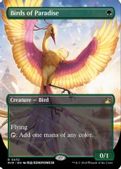 Birds of Paradise (Anime Borderless)