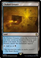 Choked Estuary (Surge Foil)