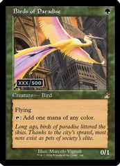 Birds of Paradise (Retro Frame) (Serial Numbered)