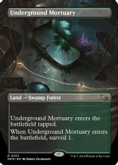 Underground Mortuary (Borderless)