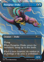 Peregrine Drake