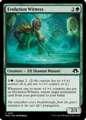 Evolution Witness