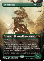 Endurance (Borderless) (Textured Foil)