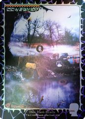 Swamp (1654) (Rainbow Foil)