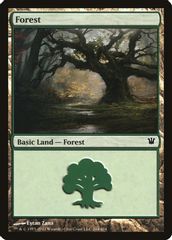 Forest (264)