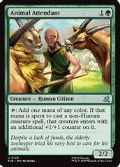 Animal Attendant