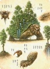 The Lion-Turtle Art Card